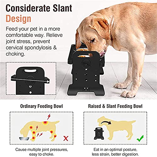WHXL-Double-Dog-Bowls-Adjustable-Height-Elevated-Pet-Feeding-Dish-Stainless-Steel-Puppy-Cats-Food-Water-Container-Feeder-Stand-Tray