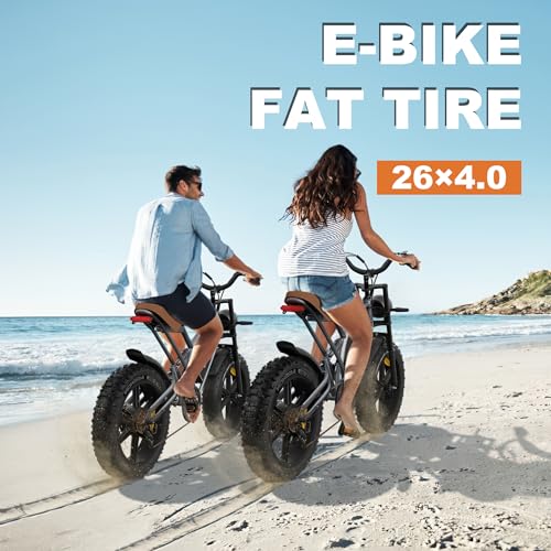 MOHEGIA 26x4.0 Tire & Tube Set