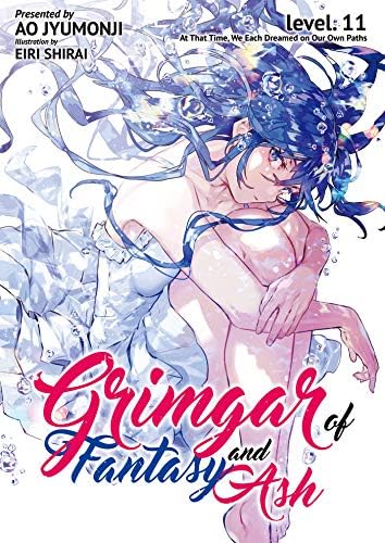 Grimgar of Fantasy and Ash: Volume 11 (Light Novel)
