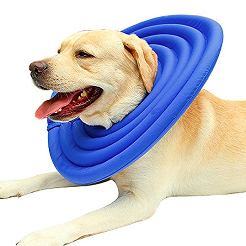 Alfie Pet - Toby Waterproof Recovery Collar For Dogs And Cats - Color: Blue, Size: Xxl #TOP1
