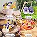 40 Pcs 8 Kinds Natural Dried Pressed Edible Flowers for Cake Topper Decorating - Mix Viola Tricolor for Cupcake Toppers, Cocktails, Resin Jewelry Making, DIY Art Crafts