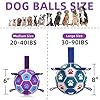 Purple Dog Soccer Ball Toy