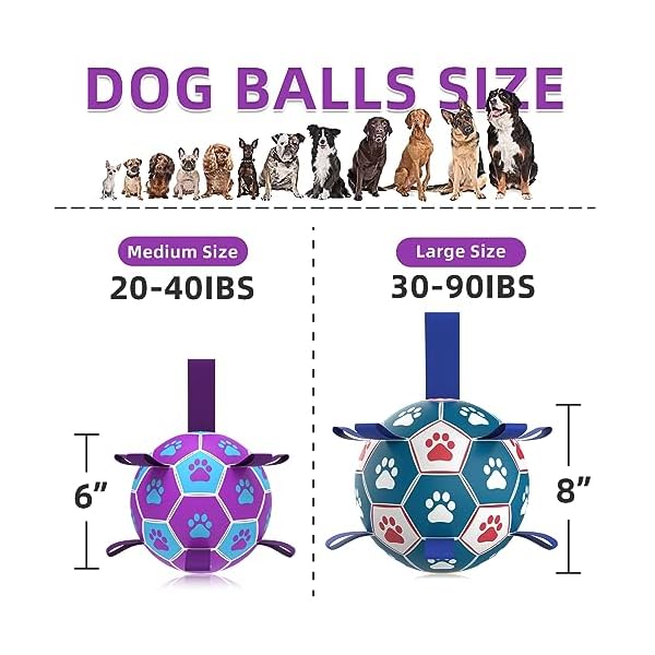 Purple Dog Soccer Ball Toy