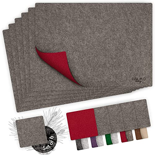 Görges Markenwelt Tovagliette in Feltro - Lavabili, Assorbenti, Antiscivolo, Resistenti al Calore - Protezione per Tavolo - Tovagliette Colazione - Sottobicchiere in Feltro - Set di 6