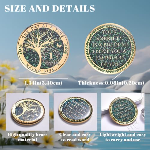lparkin 1 year sobriety coin tree of life recovery coin aa recovery medallion anniversary token sobriety gifts alcoholics anonymous medallion
