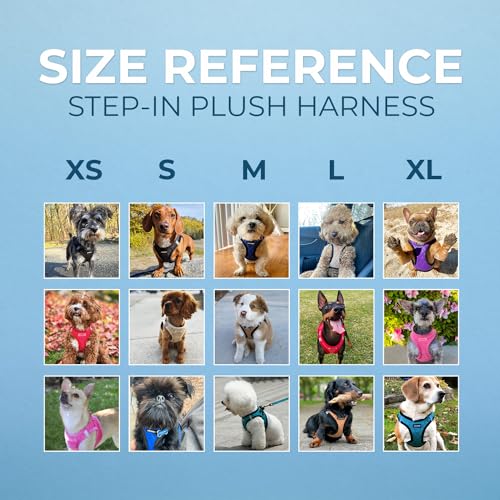 Image of Voyager Step-in Plush Dog Harness - Soft Plush, Step in Vest Harness for Small and Medium Dogs by Best Pet Supplies - Latte Suede (Leash Bundle), XL (Chest: 20.5-23 inch)