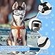 Hunde Sonnenbrille, Einstellbar Hundebrille, Schwarz Hundeschutzbrille, UV-Schutz, Winddicht, Augenschutz, Motorradbrille Schutzbrille, für Mittel Große Hunde (Transparente Objektive)