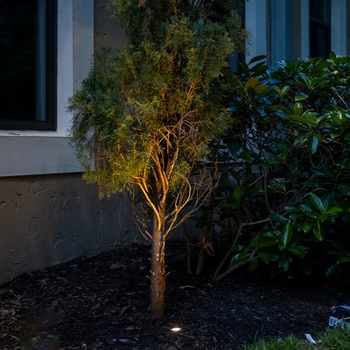 VOLT 12V Waterproof IP68 Mini Well Light with Brass Top (Bronze) & 4W 2700K Warm White LED MR11 Bulb for Low Voltage Landscape Lighting of Pathway, Driveway, Tree, Column or Wall - Thumbnail 5