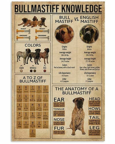 TammieLove Bullmastiff For Peolple Like Humble Dog Gift For Birthday Dog Lover Wall Decor Poster Garage Wall Decor Metal Tin Sign 20 x 30 cm Cover