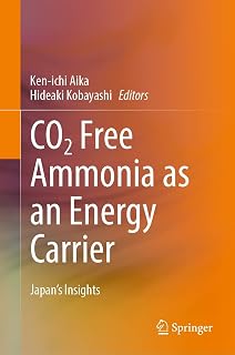 CO2 Free Ammonia as an Energy Carrier: Japan's Insights