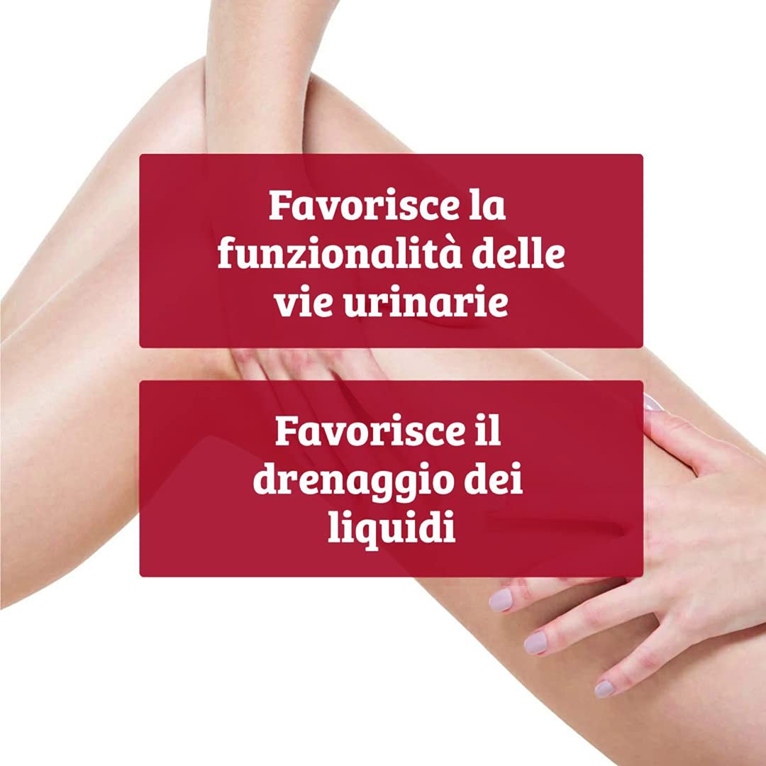 Colours of Life Cyst Cranberry - Integratore di Frutti di Mirtillo Rosso - per la Funzionalità delle Vie Urinarie e il Drenaggio dei Liquidi - Senza Glutine e Vegano, 60 Compresse
