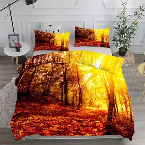 Housse de couette Sunlight Forest抗皱免烫 microfibre paysage moderne 220x220