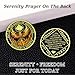 ATERECOSP Phoenix Rising Sobriety Coin, Recovery Addiction NA AA Chips and Medallions, Narcotics Anonymous Gifts for Men Women (13 Year)