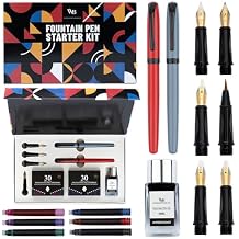 Wordsworth and Black Fountain Pen Set - Grey - Includes 2 Pens, 18 ML Ink Bottle, 60 Ink Cartridges, A Refill Converter, 1 Medium and 4 Broad Nibs, Brush Pen - Fountain Pen Kit for Beginners