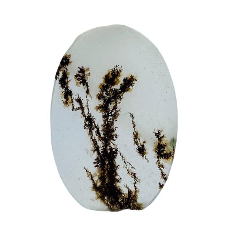 Agate dendritique Shajar naturelle 25x16mm cabochon gemme pour fabrication bijoux
