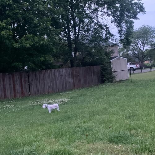 matter de prod.by.cole en Amazon Music Unlimited