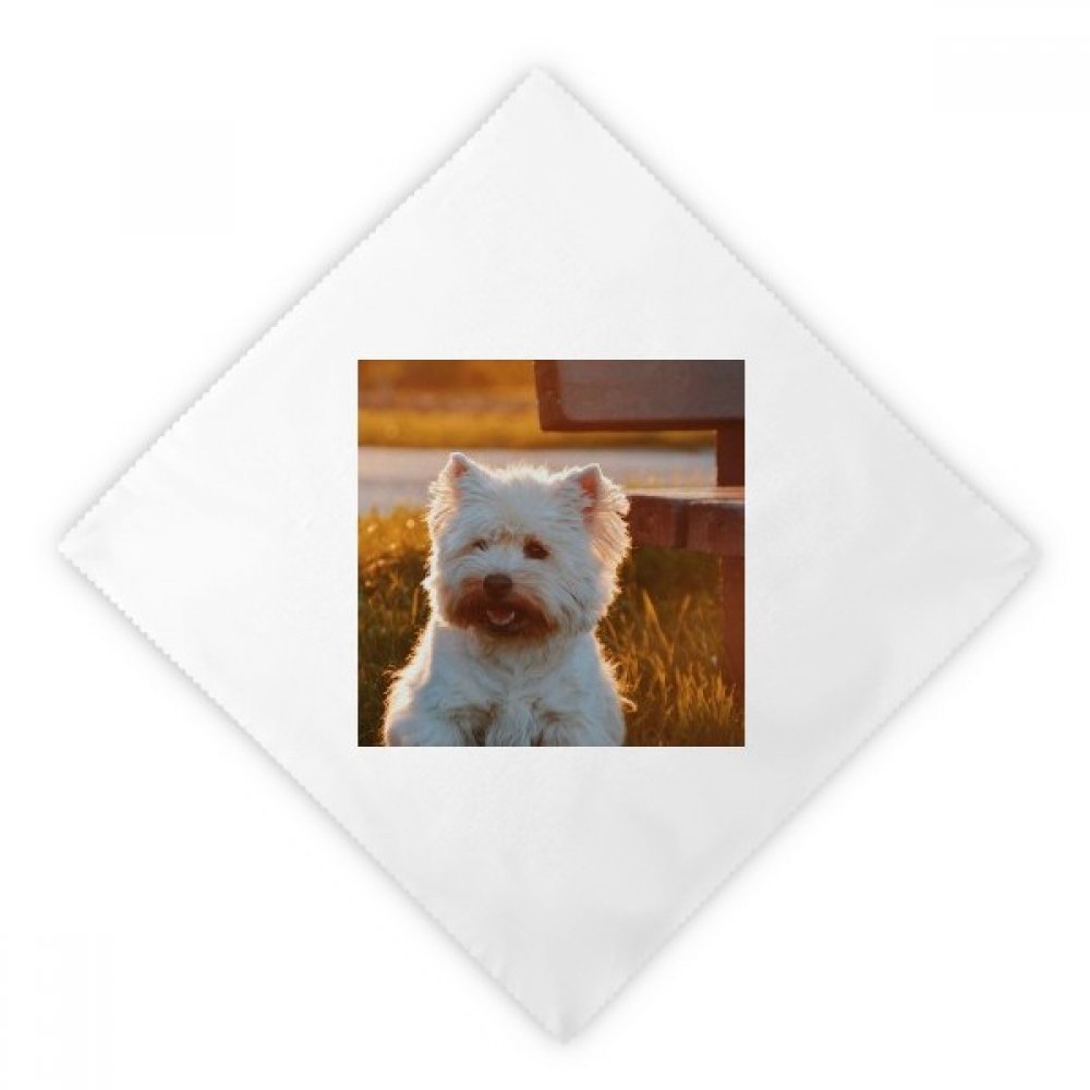 Serviettes de table en tissu 47x47 cm absorbantes motif chien multicolore