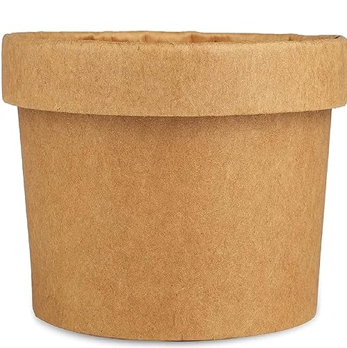 Image of Disposable Thick-Walled Craft Paper Food Container Bowl /Tub with lid, 750 ml, Pack of 15 - Brown
