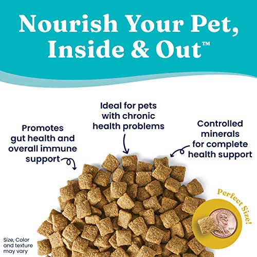 Solid Gold Dry Dog Food For Adult & Senior Dogs - Made With Oatmeal, Pearled Barley, And Fish Meal - Holistique Blendz Potato Free High Fiber Dog Food For Sensitive Stomach & Immune Support -24 Lb #TOP2