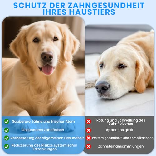 Bibykivn Zahnreiniger Ultraschall für Hund, Hundezahnreinigungsset, Zahnreiniger für Haustiere mit LED-Licht, 5 Reinigungsmodi, 4 Reinigungsköpfe (Weiß)