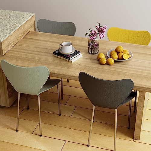 Rcynview Sedie Sala da Pranzo 4Pezzi,Sedie Cucina Moderne con Gambe in Metallo,Sedia Polipropilene Senza Braccia di Design per il Massimo Comfort,da Esterno per Soggiorno, Colore misto Stile 2