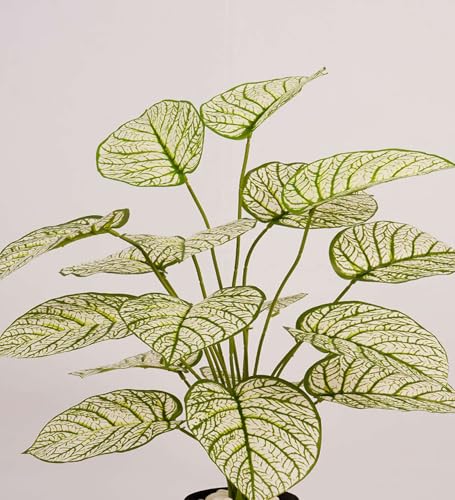 Image of ARICK DECOR 2.1Ft Artificial White Variegated Dieffenbachia Plant with 18 Leaves, 65cm Tall Faux Tropical Greenery in Black Pot, Realistic Large Silk Leaf Potted Tree for Home