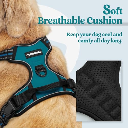 Image of rabbitgoo Dog Harness No Pull with 2 Leash Clips, Adjustable Soft Padded, Reflective Oxford No Choke Pet Vest with Easy Control Handle for Large Dogs, Blue Coral, XL | No Choke, Adjustable, Breathable Padded, 2 Lead Rings, Reflective, Easy Control for Walking Training, XL, Blue Coral