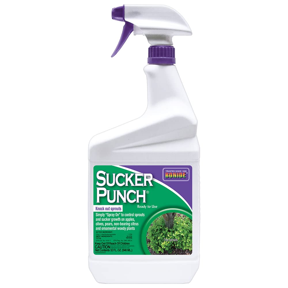 Bonide Sucker Punch, 32 oz Ready-to-Use Spray, Control Unwanted Plant Sprouts, Plant Growth Regulator for Home Garden