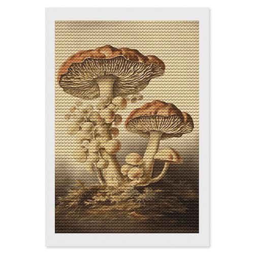 Anti-stress : kit d'art diamant adultes champignons vintage pour calmer l'anxiété