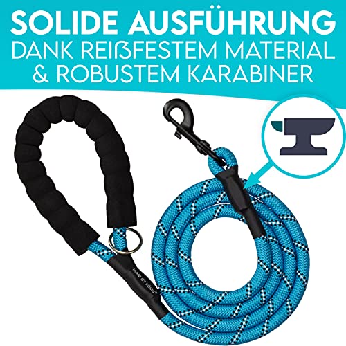 HUND IST KÖNIG Hundeleine - 1,5m Hunde Leine für Gassigehen & Training - Führleine mit weichem Griff & Reflektoren - ideale Alltagsleine für alle Rassen - leicht & robust, inkl. eBook