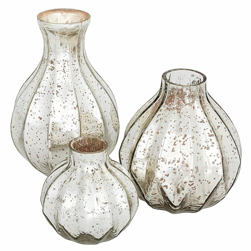 Loberon Vase 3er Set Frido, DREI abgestufte Formen und Größen, mit antiker Patina, reizvoller Vintage-Charme, Bauernsilber-Finish, Blumenvase, Glas, antiksilber Loberon Vase 3er Set Frido, DREI abgestufte Formen und Größen, mit antiker Patina, reizvoller Vintage-Charme, Bauernsilber-Finish, Blumenvase, Glas, antiksilber