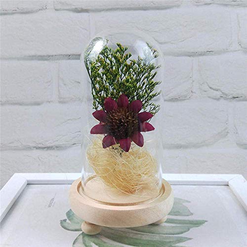 Kyman Cubierta de Cristal Flor de la Vida Nueva Eterna Ramo Polvo...