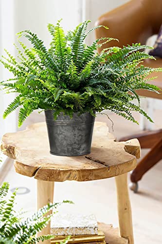 Briful-5-Size-Galvanized-Buckets-Rustic-Farmhouse-Metal-Bucket-Galvanized-Flower-Bucket-Home-Indoor-Outdoor-Decorative-Tin-Planters-37In39In51In59In71In Briful 5 Size Galvanized Buckets Rustic Farmhouse Metal Bucket Galvanized Flower Bucket Home Indoor Outdoor Decorative Tin Planters 37In39In51In59In71In