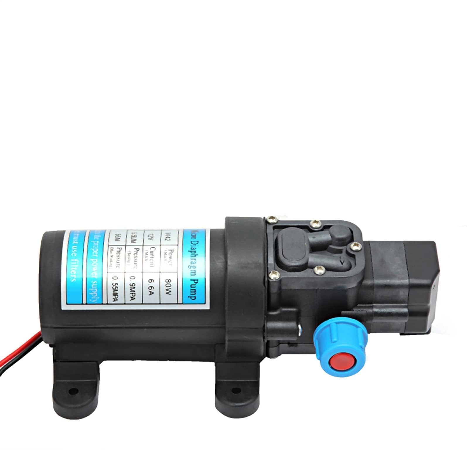 Pompe à membrane électrique portable 5,5 L/min pour lavage de véhicule et jardinage