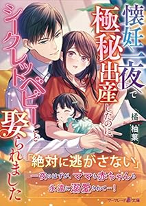 懐妊一夜で極秘出産したのに、シークレットベビーごと娶られました (マーマレード文庫)
