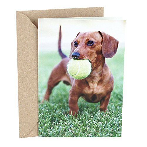 Hallmark Shoebox Funny Birthday Card (Two Bananas)