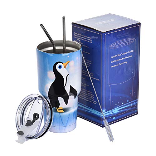 Luoda 30 Oz Tumbler Stainless Steel Double Wall Vacuum Insulated Travel Mug With Lid And 2 Straw, Cleaning Brush And Gift Box (Cute Cat) #TOP5