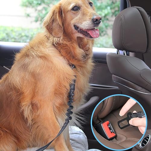 Zhtulck Anschnallgurt Hund Auto, Verstellbarer Elastischer Ruckdämpfung Hundeanschnaller für Alle Hunderassen, Katzen & Autotypen (50-85cm)