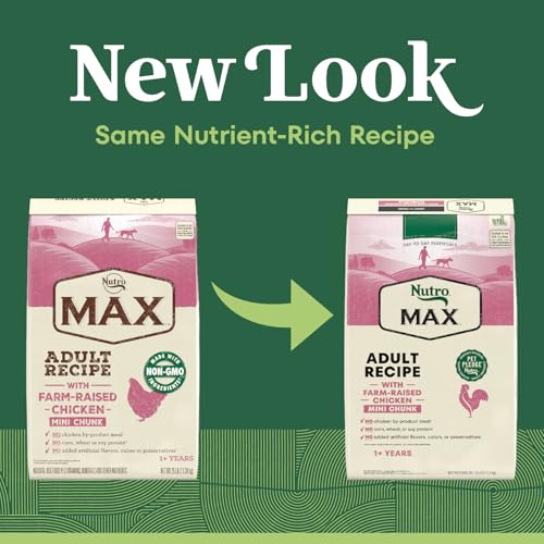 Image of Nutro Max Mini Chunk Adult Dry Dog Food, Farm-Raised Chicken, 25 lb