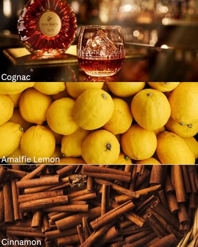 Image of TOXICMALE Perfect Long Lasting Unisex Fragrance For Unisex, Fruity & Citrus & White Floral Scent Liquid Perfume For All Occasions, 50ml (TMA20)