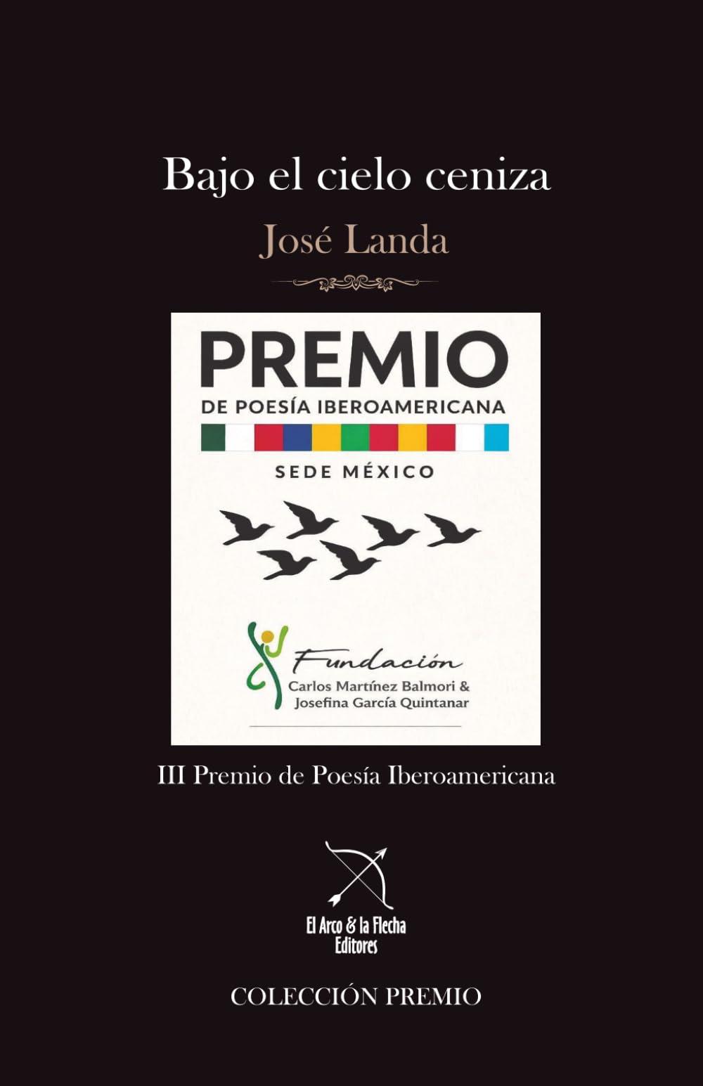 Bajo el cielo ceniza