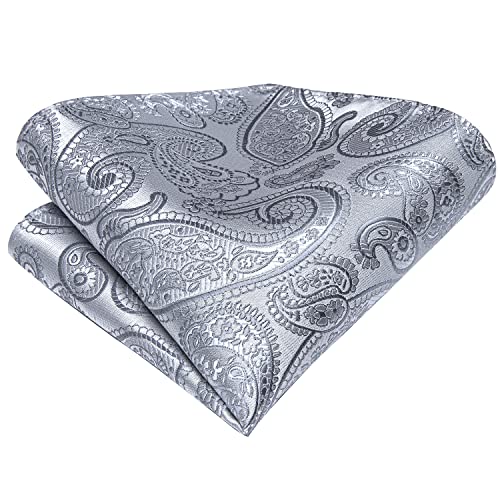 Image of Hi-Tie Men 63inches Tie Set Extra Long Necktie Paisley Tie Pocket Suqare Cufflinks Big and Tall Men Tie