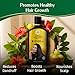 Kerala Ayurveda Kesini Hair Oil (3.38 fl oz) | Herbal Blend with Bacopa, Hibiscus, Amla, Indigo, Castor & Coconut Oil | Deeply Nourishes Dry Scalp & Strengthens Hair | Paraben-Free, Mineral Oil-Free