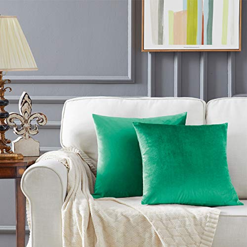 GIGIZAZA Velvet Turquoise Cushion Covers 20 x 20 Inch Square Decorative Throw Pillowcases 50 x 50cm for Sofa Bedroom Living room 2 pack