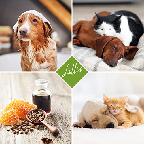 Lillis Hundeshampoo 500ml mit Teebaumöl gegen unangenehme Gerüche, hilft bei Juckreiz und Ungezieferbefall, für alle Hunderassen, für glänzendes Fell und gepflegte Haut, antibakteriell