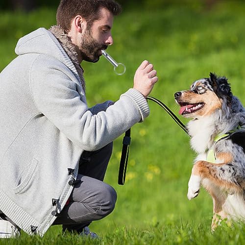 LIANRISES 6 Stück Hundepfeife Rütter Rückruf, Hochfrequenz Lautlos, Hundepfeifen Gegen Bellen, Signalpfeife, Notfallpfeife und 6 Schlüsselbänder