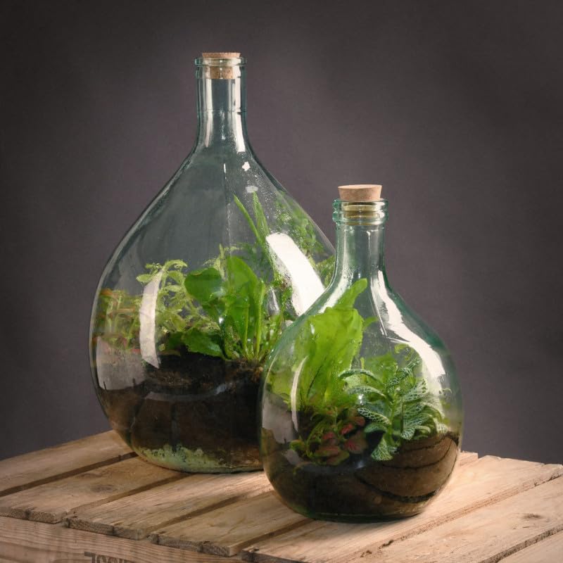 Amazon.com: Esschert Design AGG47 Terrarium Bottle Planter with