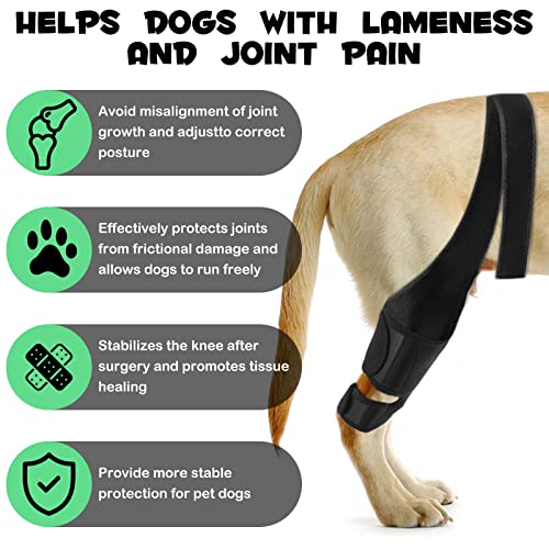 Image of Dog Knee Brace for Support Cruciate Ligament Injury, Joint Pain And Muscle Sore, Dog Leg Brace for ACL Support, Reduces Pain and Inflammation, Adjustable Pet Brace with 10 Side Stabilizers (L)