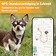 Pawfit Lite for Small Dogs 4g GPS Tracker | Echtzeit-Tracking | Aktivitätsüberwachung | Standortverlauf | Unbegrenzte Reichweite | Anthrazit