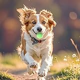 Hundeball 3 Stück Gummi Hundespielzeug Ball 4cm unzerstörbarer Gummiball für Training, hunde ball vesWelpen Katzen Interakti hundespielzeug kleine hunde welpen spielzeug hundeball unzerstörbar